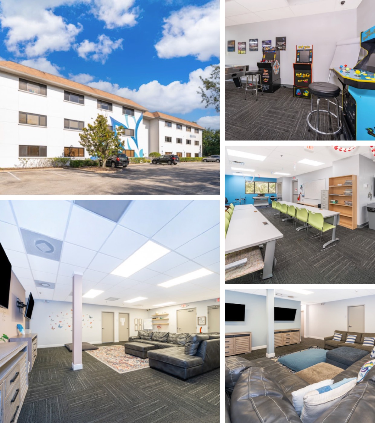 Lotus Behavioral Health case study overview