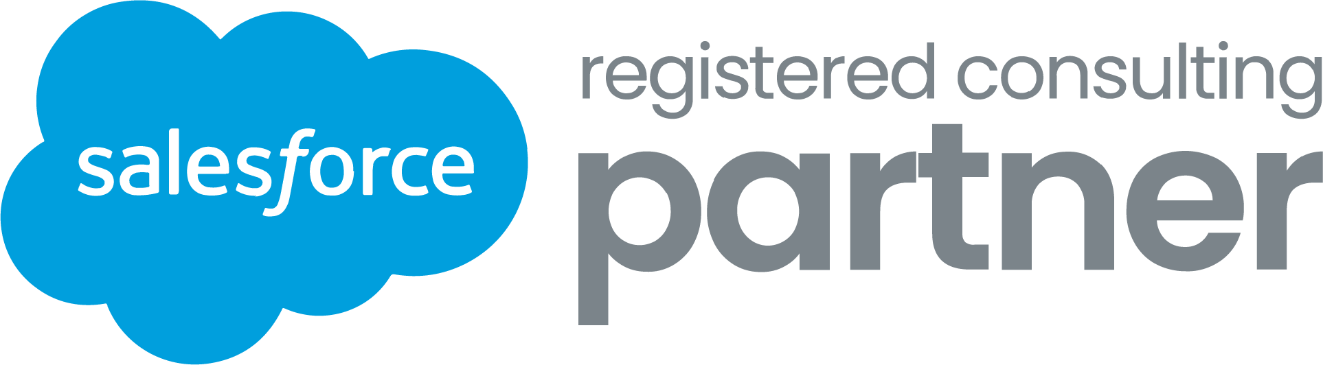 Salesforce Partner